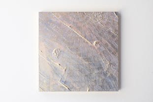 鳥の眼(台中) NO3